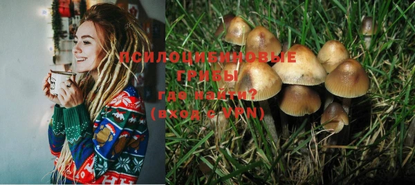 трава Абаза
