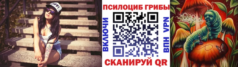 Псилоцибиновые грибы мухоморы купить наркоту Невельск